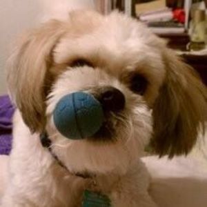 Meet your Posher, Sylvia